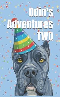 Odin's Adventures TWO