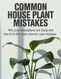 Common House Plant Mistakes
