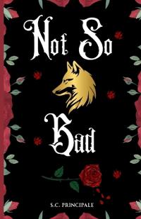 Bokomslag for "Not So Bad"