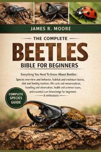 The Complete Beetles Bible for Beginners