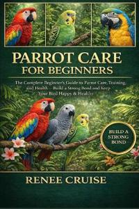 Parrot Care for Beginners