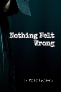 Nothing Felt Wrong