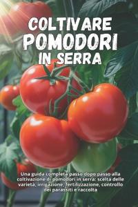 Coltivare pomodori in serra