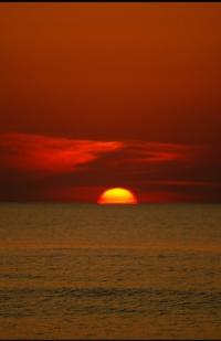 The Resonance of Embers