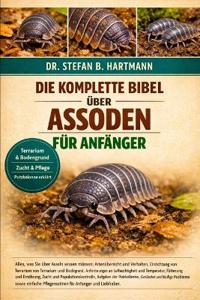 Die Komplette Bibel Über Assoden Für Anfänger