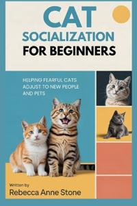 Cat Socialization for Beginners