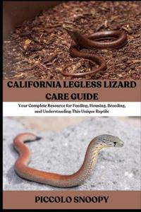 California Legless Lizard Care Guide