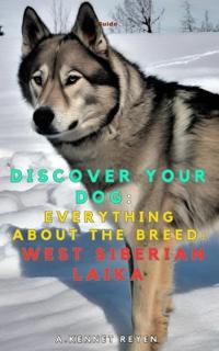 Discover your dog
