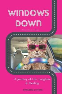Windows Down