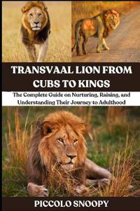 Transvaal Lion From Cubs to Kings
