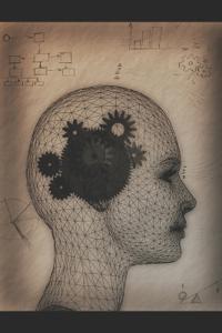 The Brain