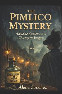 The Pimlico Mystery
