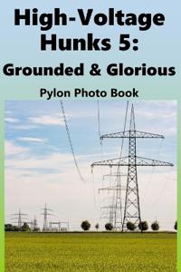 High-Voltage Hunks 5