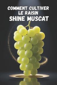 Comment cultiver le raisin Shine Muscat