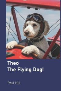 Theo the Flying Dog