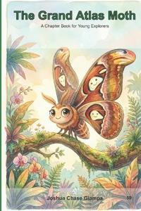 The Grand Atlas Moth