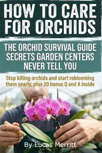 How to Care For Orchids