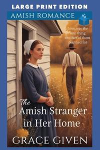 The Amish Stranger in Her Home