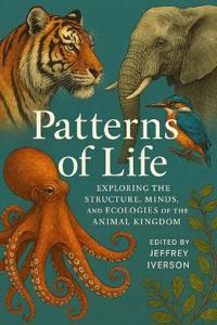 Patterns of Life