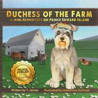 Duchess of the Farm - A Mini-Schnauzer on Prince Edward Island