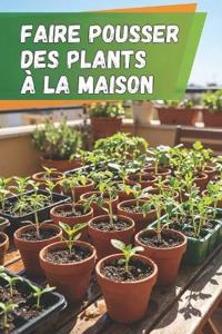 Faire pousser des plants à la maison