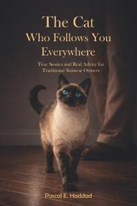 The Cat Who Follows You Everywhere