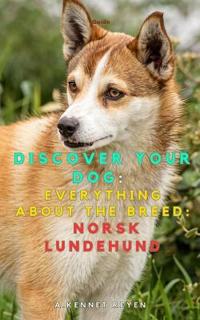 Discover your dog