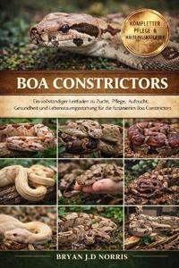 Boa Constrictors