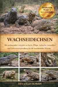 Wachseidechsen