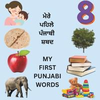 My First Punjabi Words