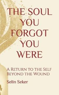 Bokomslag for "The Soul You Forgot You Were"
