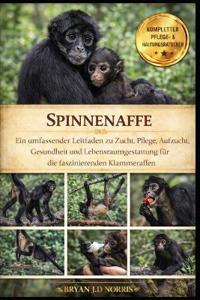 Spinnenaffe