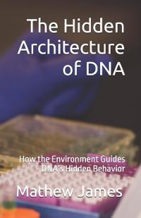 The Hidden Architecture of DNA