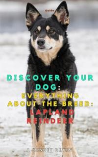 Discover your dog