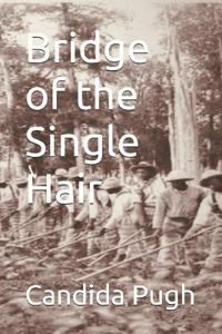 Bridge of the Single Hair