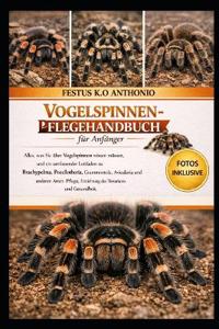 Vogelspinnen-Pflegehandbuch für Anfänger