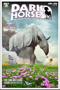 Dark Horses