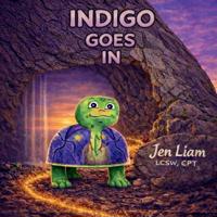 Liam, J: Indigo Goes In