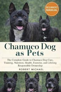 Chamuco Dog as Pets