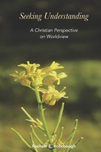 Seeking Understanding