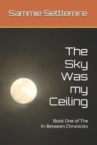 The Sky Was my Ceiling