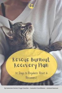 Rescue Burnout Recovery Plan