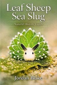 Leaf Sheep Sea Slug Natural History Guide