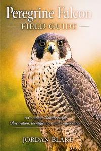 Peregrine Falcon Field Guide