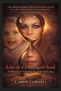 Life of a Damaged Soul