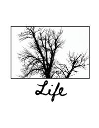 Life