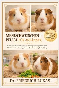 Meerschweinchenpflege Für Anfänger