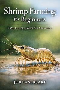 Shrimp Farming for Beginners