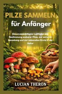 Pilze sammeln für Anfänger