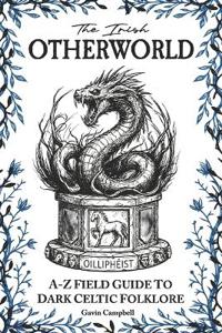 The Irish Otherworld